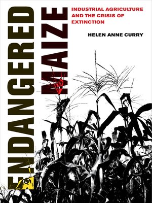 cover image of Endangered Maize